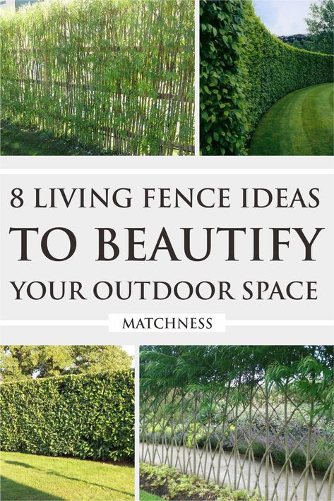 121 Living Fence Ideas, Garden Beds Raised, Fences Alternative, Hedges Landscaping, Living Fences, Decoration Front Porch, Privacy Landscaping Backyard, Fencing Options, Soil Erosion