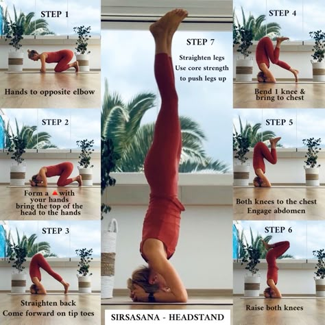 Step by step into sirsasana #sirsasana #headstand #yoga #yogaforbeginners #yogatutorials #yogateacher How To Headstand Yoga Beginner, Yoga Headstand For Beginners, Yoga Step By Step, Yoga Headstand Poses, Yoga Inversions For Beginners, Yoga Handstand Beginner, Headstand Beginner, Handstand Step By Step, Headstand Yoga Beginner