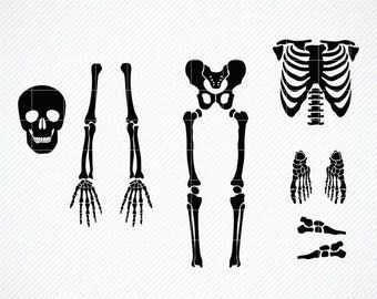 Skeleton Parts, Skeleton Arm, Svg Skeleton, Skeleton Halloween Costume, Skeleton Svg, Skeleton Bones, Diy Clothes Design, Football Mom, Cricut Cut Files