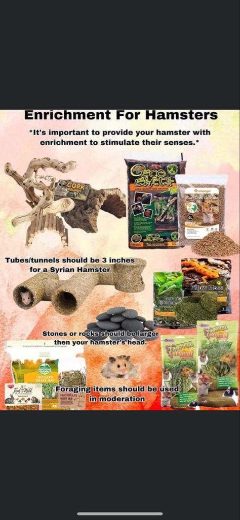 Hamster Safe Plants, Hamster Cage Enrichment, Hamster Must Haves, Diy Hamster Enrichment, Syrian Hamster Cage Ideas, Rat Enrichment Ideas, Hamster Enrichment Ideas, Hamster Essentials, Hamster Cage Ideas Diy