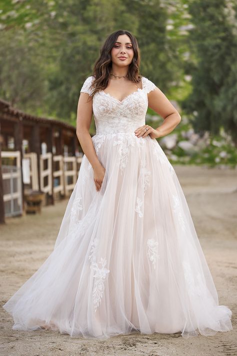 Lillian West - Style 66259PS: Tulle A-Line Plus Size Bridal Dress with Sheer Bodice and Chapel Length Train Putdoor Wedding Dress, Plus Size Outdoor Wedding Dress, Cap Sleeve Wedding Dress Plus Size, Bridal Dresses Plus Size Curvy Bride, Size 12 Bride Wedding Gowns, Plus Size Wedding Dress Off Shoulder, Size 16 Wedding Dresses, Mid Size Bride Dress, Cap Sleeve A Line Wedding Dress