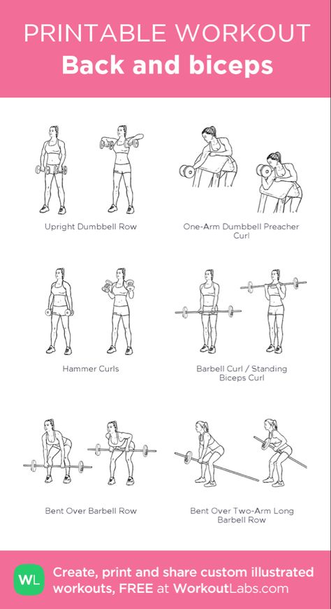 Barbell Workout For Women, Bicep Workout Women, Dumbbell Bicep Workout, Back And Biceps Workout, Weekly Gym Workouts, Dumbbell Workout Plan, Back And Bicep Workout, Workout Female, Dumbbell Workout At Home