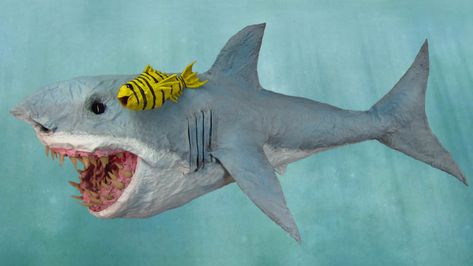 Shark Sculpture, College Paper, Paper Mache Projects, Mache Art, Shark Decor, Paper Templates Printable, Paper Mache Animals, Cat Watch, Paper Mache Art