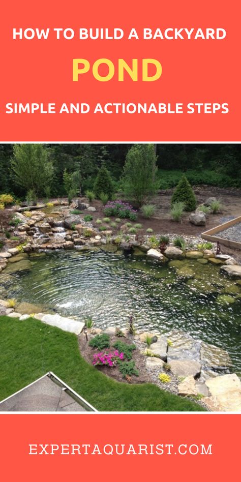 Small Backyard Pond Ideas Diy, Small Yard Pond, House Ponds Small Gardens, Farm Pond Design, Backyard Koi Pond Ideas Diy, Medium Pond Ideas, Landscaping Ponds Ideas, Backyard Pond Ideas Diy, How To Make A Pond In Your Backyard