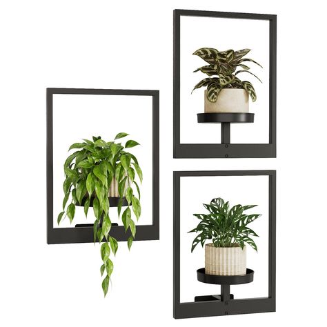 PRICES MAY VARY. 【🎨 Unique Design and Decorative Appeal】: Our wall hanging planters distinguishes with its unique design and decorative feature 🖼️, perfectly combining plants and wall art. Add a modern visual effect to your wall, window, enhancing the personality and charm of your indoor and outdoor space. 【📏 Space Utilization and Practicality】: Elevate your living space with verdant charm 🌿! Introducing our innovative wall planters for indoor plants , perfect for maximizing vertical space. Wall Hanging Planters, Planters For Indoor Plants, Plant Rack, Plant Shelf, Plant Holder, Hanging Planters, Plant Stand, Plant Hanger, Black Metal