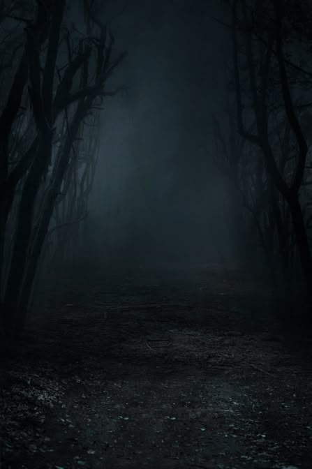 Dark Scary Forest Aesthetic, Horror Forest Background, Dark Forest Aesthetic Night, Horror Background Dark, Creepy Forest Background, Forest Book Cover, Deep Green Wallpaper, Dark Forest Background, Horror Forest