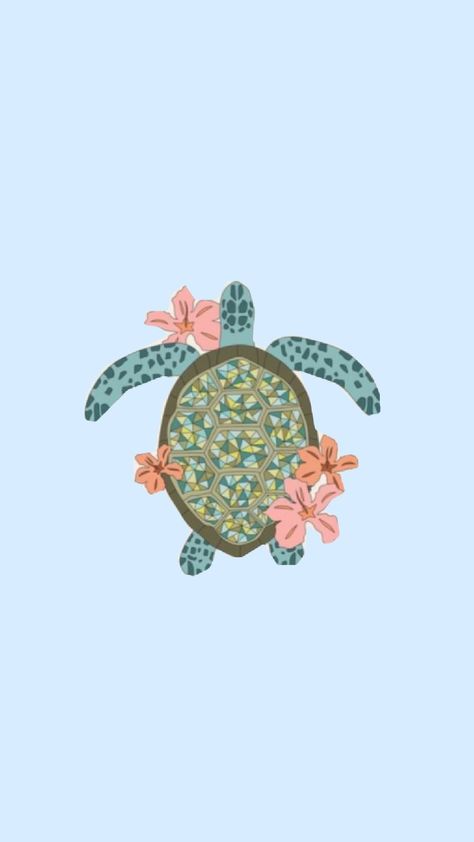 Cute Wallpapers Turtle, Aesthetic Turtle, Turtle Icon, Sea Turtle Wallpaper, Turtle Background, Outfit Ideas Preppy, Beachy Wallpaper, Turtle Pictures, Sea Turtle Pictures