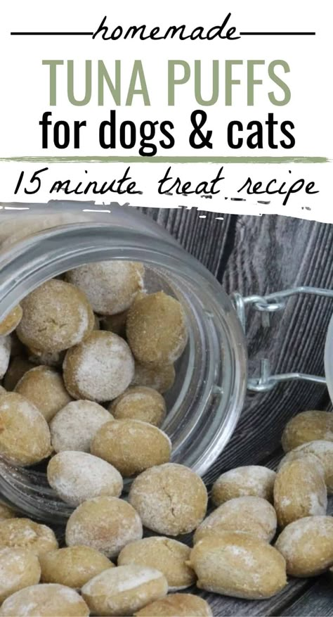 Dog and Cat Treat Recipe: It's hard to find good pet treats in the stores, but the best ones are homemade! Homemade Tuna Puffs are made without questionable ingredients. Pumpkin Cat Treats Homemade, Pet Desserts, Bao Food, Homemade Cat Treats Recipes, Diy Cat Treats, Tuna Cat Treats, Pup Treats, Homemade Pet Treats, Animal Treats