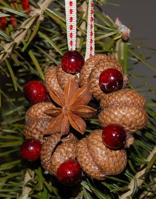 Ornament made from acorn tops and star anise set with cranberry red beads. @Tricia Bimber McCray &@Tiffany Bimber  wish we would have had Pinterest when we use to try to sell the acorns outside of Grannies house in Findley Lake we could have made something like this! Chestnut Crafts, Navidad Natural, Jul Diy, Acorn Ornaments, Acorn Crafts, Cones Crafts, Pine Cone Crafts, Natural Christmas, Country Crafts