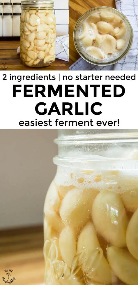 Fermented Garlic is the easiest ferment EVER! With just 2 ingredients and no starter culture required, you can preserve garlic through the magic of fermentation for a health-promoting food that can be added to your favorite dishes, dips, dressings, and used as a natural remedy! #allthenourishingthings #fermentation #garlic #westonaprice Fermenting Vegetables Recipes, Fermented Dill Pickles Recipe, Fermented Mushrooms, Fermented Food Recipes, Preserve Garlic, Preserving Garlic, Pickled Recipes, Fermented Recipes, Fermented Vegetables Recipes