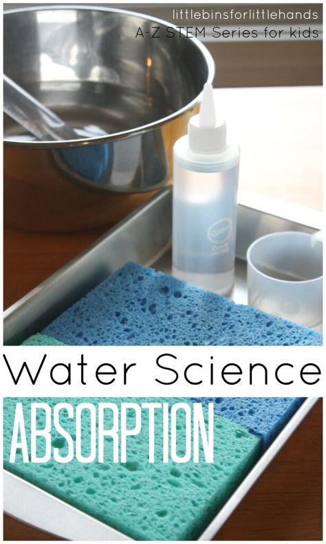 An easy science experiment for kids this summer. This Water Science Absorption is perfect way to work on science in a fun and easy way this summer.  #summerwateractivities #scienceforkids Water Experiments For Kids, Water Science Experiments, Pre K Science, Water Study, Water Unit, Kids Stem Activities, Water Experiments, Experiment For Kids, Science Experiments For Kids