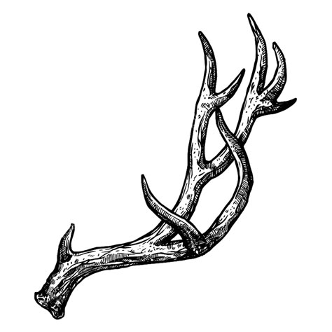 Deer Horn Tattoo Deer Horn Tattoo, Deer Antler Tattoo, Antler Drawing, Antlers Drawing, Horn Tattoo, Antler Tattoos, Antler Tattoo, Wrist Tattoo Designs, Medieval Tattoo