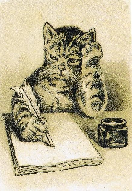 Reading Pfp, Louis Wain Cats, Tom Cat, Image Chat, Cat Books, Cats Illustration, Vintage Cat, Cats Meow, Cat Illustration