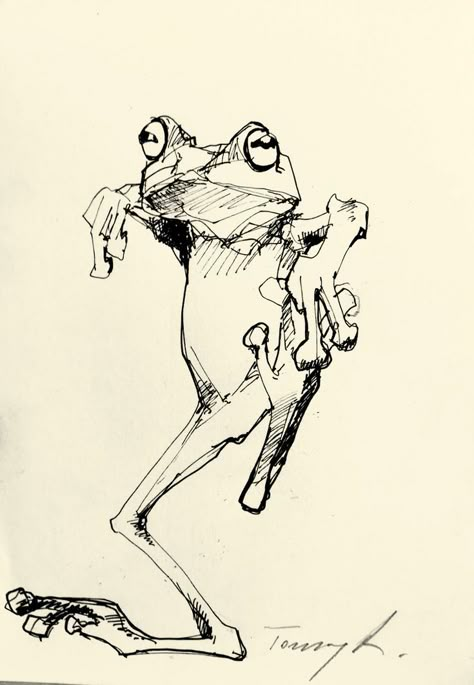 Bruce Lee .
Tus , papír 
25 x 14 cm Frog Ink Drawing, Animal Photo Reference, Frog Drawing Reference, Amphibians Drawing, Frog Drawing Sketches, Frog Draw, Drawing Frogs, Frogs Drawing, Nature Tattoo Ideas