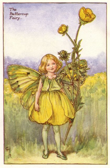 Flower Fairies Books, Princess Crowns, Buttercup Flower, Donna Dewberry, Face Paints, Fairy Images, Face Paintings, Fairy Pictures, Cicely Mary Barker