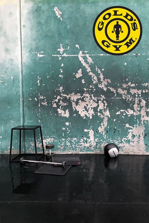 6 Life Lessons from Working at Gold's Gym Venice Gym Hd Wallpapers, Gold Gym Aesthetic, Beach Gym, Vintage Gym Aesthetic, Golds Gym Aesthetic, Vintage Gym, Dark Gym Aesthetic Wallpaper, Golds Gym Wallpaper, Gold's Gym Logo