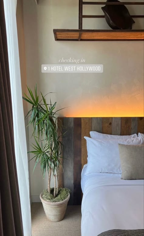 A picture of a hotel room with a bed that has white sheets and a tall plant in a pot. One Hotel West Hollywood, Staycation Picture Ideas, Hotel Ig Story Aesthetic, Honeymoon Story Ideas, Staycation Photo Ideas, Hotel Stories Instagram, Hotel Pics Ideas, Hotel Instagram Post Ideas, Hotel Content Ideas Instagram