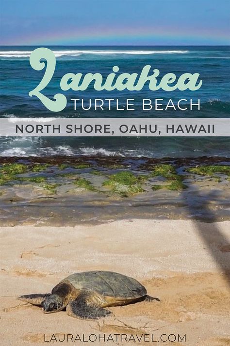 Turtle laying on the sand with rainbow in the background at Lanikea Beach on Oahu Hawaii's North Shore Laniakea Beach, Hawaii Turtles, Turtle Canyon Oahu, Hawaii Sea Turtles, Sea Turtle Hawaii, North Shore Hawaii, Hawaii Trip Planning, Makua Beach Oahu, Oahu Beaches