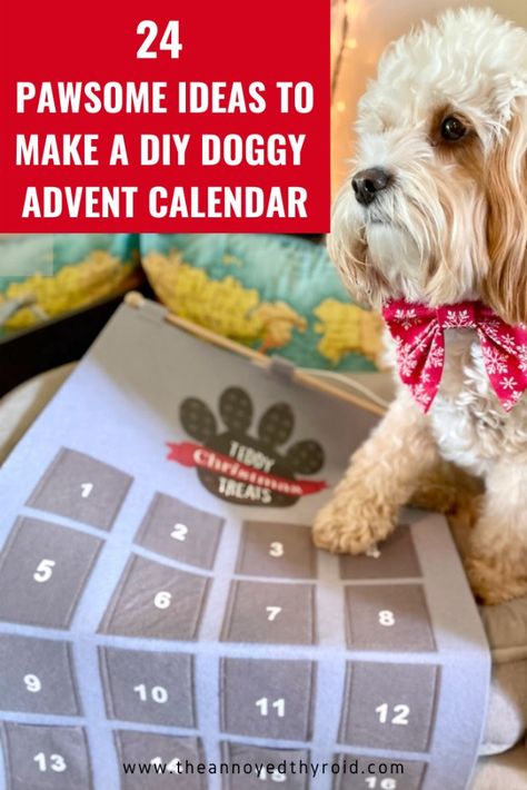 Dog Advent Calendar Ideas Diy, Advent Calendar For Dog, How To Make A Dog Advent Calendar, Diy Dog Treat Advent Calendar, Advent Calendar For Dogs Diy, Diy Pet Advent Calendar, Advent Calendar For Dogs, Dog Advent Calendar Diy, Diy Dog Advent Calendar