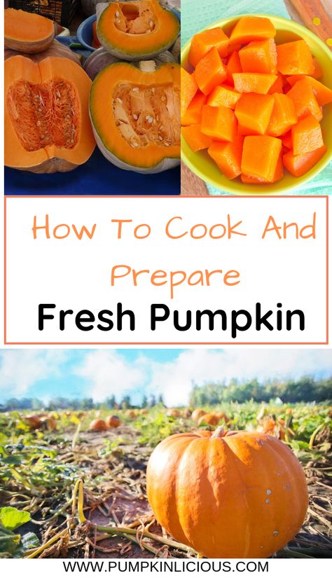 Find out how to cook and prepare fresh pumpkin! Bake it, steam it and even do it in the microwave! Pumpkin Bake, Fresh Pumpkin Recipes, Cook Pumpkin, Fresh Pumpkin Pie, Soylent Green, Super Recipes, Cooking Pumpkin, Fresh Pumpkin, Chicken Treats