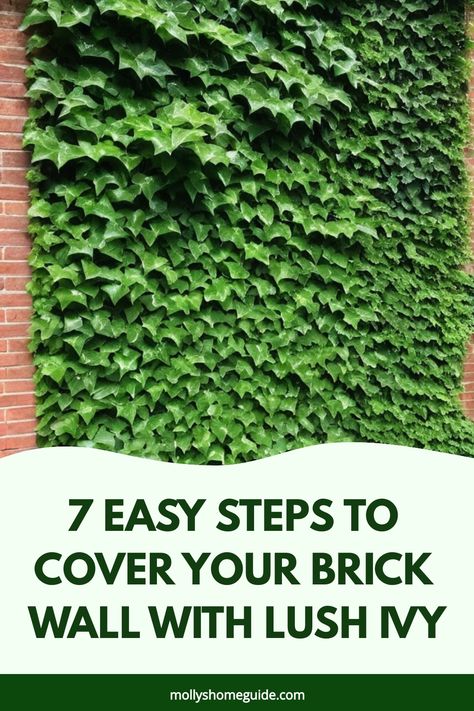 Discover the beauty of ivy crawling up a brick wall with our ultimate guide on how to grow ivy on brick walls effortlessly. Whether you have a small garden or a cozy patio, ivy can add an instant touch of charm and elegance to your outdoor space. Learn the best tips and tricks for planting, caring for, and training your ivy to climb up any brick surface. Decorate Brick Wall Outdoor, Ivy Walls Outdoor, Ivy Plant Outdoor, Ivy On Brick, Types Of Ivy, Climbing Ivy, Boston Ivy, Ivy Wall, Outdoor Entryway