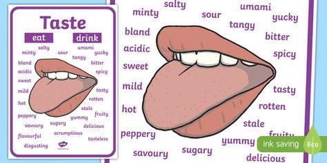 Taste Vocabulary Display Poster Taste Vocabulary, Vocabulary Display, Family Diversity, Life Themes, Taste Sense, Scientific Thinking, All About Me Activities, Spelling And Handwriting, Vocabulary English