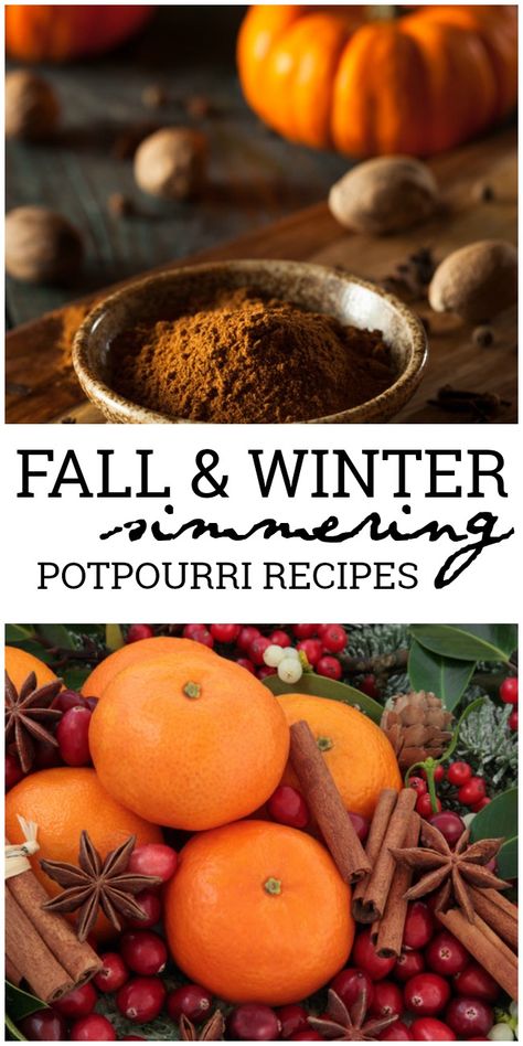 These simmering potpourri recipes will have your house smelling heavenly with the delicious scents of whatever season you are craving. Simmering Potpourri Recipes, Winter Potpourri, Fall Potpourri, Holiday Potpourri, Fall Smells, Homemade Potpourri, Make Your Home Smell Amazing, Simmer Pot Recipes, Stove Top Potpourri