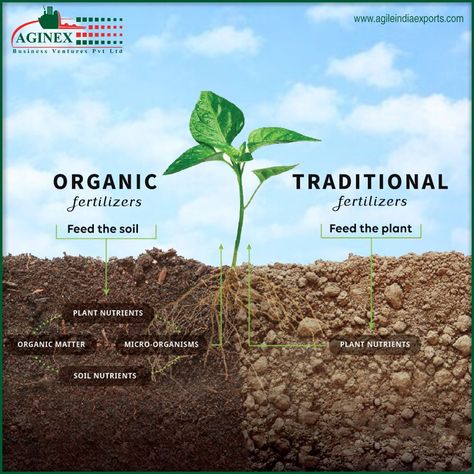 The difference between Organic and Traditional Fertilizers - #GrowOrganic #HealthySoil #HealthyPlants #HealthyEcosystems Plants Vegetables, Organic Compost, Agriculture Education, Plant Nutrients, Fertilizer For Plants, Food Forest, Sustainable Farming, Soil Health, Organic Fertilizer