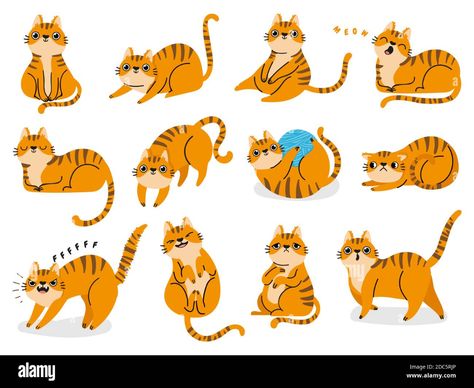 Cats Emotions, Cats Mood, Cat Body Language, Striped Cats, Cat Poses, Scared Cat, Cat Body, Illustration Procreate, Cat Vector