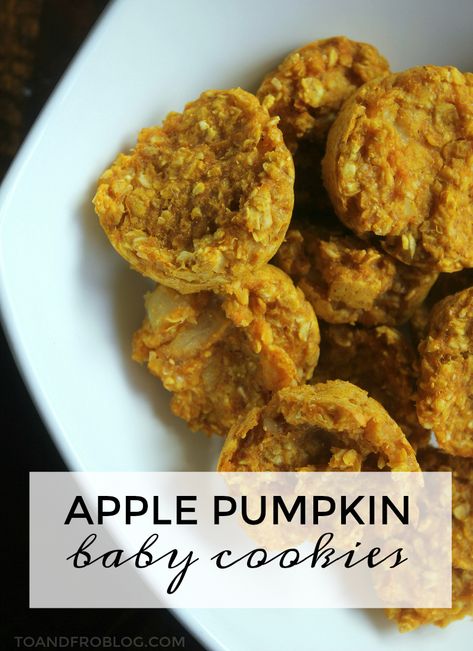 Apple Pumpkin Baby Cookies | To & Fro Baby Cookie Recipe, Pumpkin Baby Food, Toddler Cookies, Pumpkin Snack, Pumpkin Puree Recipes, Baby Muffins, Baby Breakfast, Blw Recipes, Pumpkin Cookie Recipe