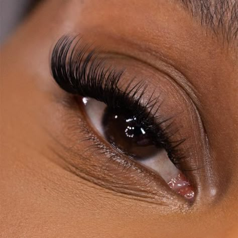 Medium Length Eyelash Extensions, Mini Lash Extensions, Car Eye Lashes Extensions, Small Individual Lashes, Light Cat Eye Lash Extensions, Medium Lash Extensions, Soft Cat Eye Lash Extensions, Natural Cat Eye Lashes, Individual Lashes Styles