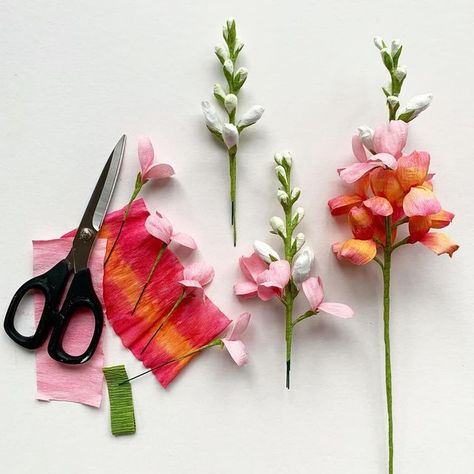 Crepe Paper Filler Flowers, Crepe Flowers, Paper Flower Diy, Flower Diy, Snapdragon Book, Felt Snapdragon, Crepe Paper Orchid, Crepe Paper Wild Flowers, Snapdragon Flowers