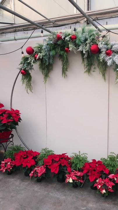 Backdrop Christmas Decorations, Church Christmas Photo Backdrop Ideas, Round Christmas Backdrop, Circle Backdrop Christmas, Round Arch Christmas Decor, Christmas Photo Spot Ideas, Christmas Party Picture Backdrop, Christmas Circle Arch Backdrop, Church Christmas Backdrop Ideas