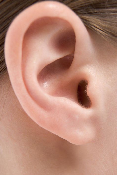 Ear Nose And Throat, Yoga Information, Life Drawing Reference, Human Ear, Ear Health, Inner Ear, Ear Care, Ear Wax, Hearing Loss