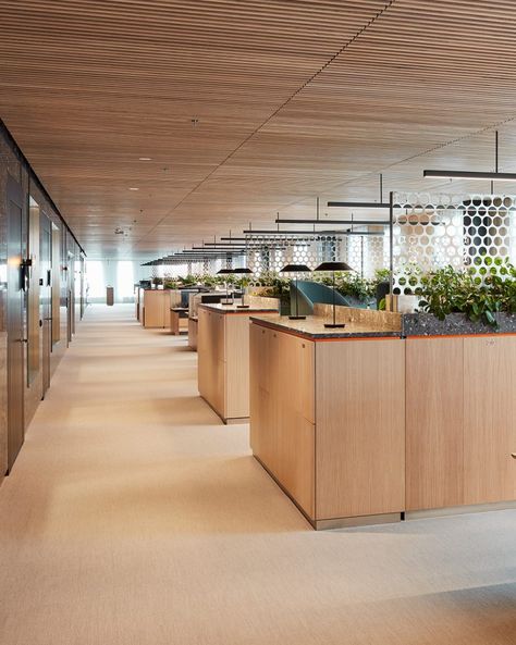 High-end Office With a Focus on Natural Materials | Gustafs Scandinavia Corporate Office Furniture, Office Open Plan, Scandinavian Office, Open Concept Office, Nordic Noir, Exposed Ceilings, Timber Architecture, Joinery Design, Timber Ceiling