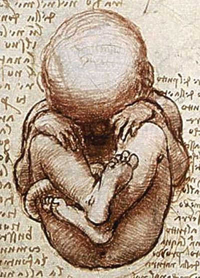 Amazing Da Vinci Drawings of a Fetus in the Womb Salvatore Dali, A Drawing, Art History, Anatomy, Painter, Sketch Book, Art Drawings, Art Inspiration, Art Design