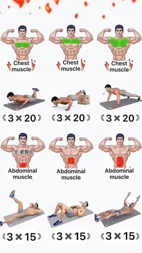 Pin en Treino Gym Workout Apps, Chest Workout At Home, Latihan Dada, Sixpack Workout, Trening Sztuk Walki, Gym Workout Planner, Gym Antrenmanları, Muscle Abdominal, Abs Workout Video