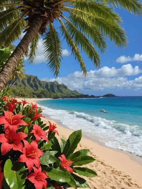 Beach With Flowers, Hawaii Background, Christmas On The Beach, Christmas In Hawaii, Aesthetic Island, Beach Palm Trees, Tropical Trees, Sea Holiday, Summer Island