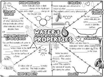 Learn about the properties of water with these colorful and engaging doodle notes! Perfect for students of all ages, these notes will help you understand the unique properties of water that make it such an important part of our Water Worksheet, Doodle Notes Science, Science Doodle Notes, Water Properties, Water Doodle, Notes Science, Properties Of Water, Science Doodles, High School Biology