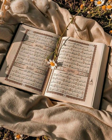 islamic art | quran wallpaper| islamic wallpaper| islamic background | muslim dp | quran recitation | islamic pics 2025 Vision Board Aesthetic Islamic, Quran And Flowers, Islamic Widgets, Wallpaper Al-qur'an, Aesthetic Quran, Muslim Girl Aesthetic, Quran Aesthetic, Planer Ideas, Islam Wallpaper