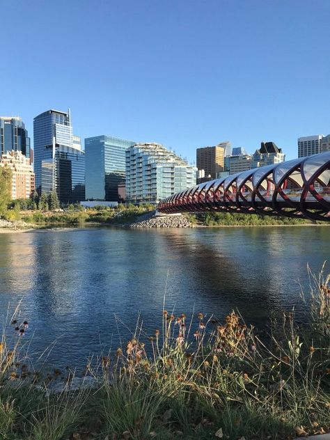 Canada Day Fireworks, Peace Bridge, Photos Of Sunsets, Downtown Calgary, Snap Photos, Calgary Canada, Santiago Calatrava, Architecture Landmark, Victoria Park