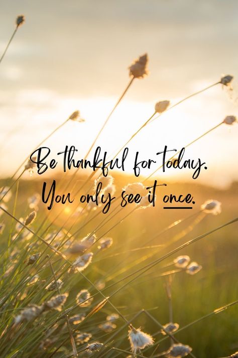 Friday Morning Quotes, Grateful Quotes, Thankful Quotes, Good Morning Sunshine Quotes, Sunshine Quotes, Today Quotes, Its Friday Quotes, Thanksgiving Quotes, Good Morning Sunshine