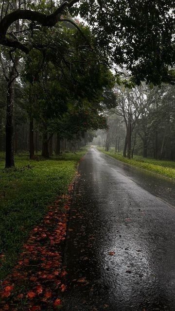 Aesthetic Pictures Person, Scenery Wallpaper Nature Landscapes, Peaceful Places Nature, Good Pictures For Instagram, Nature Asthetics Photos, Wayanad Photography, Cloudy Weather Aesthetic, Nature Asthetics, Asethic Pictures