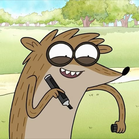 Rigby Regular Show Pfp, Rigby Pfp, Rigby Regular Show, Mordecai And Rigby, Network Icon, Cartoon Network Shows, Teen Romance Books, Regular Show, Good Cartoons