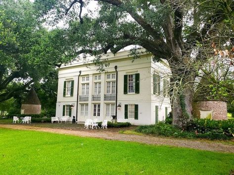 Photos: Look inside Bocage Antebellum home that's up for auction in Louisiana | Multimedia | theadvocate.com Antebellum Homes House Plans, Antebellum Homes Interior, Antebellum Home, Louisiana Plantations, Southern Plantations, Antebellum Homes, South Louisiana, Historic Architecture, Childhood Books