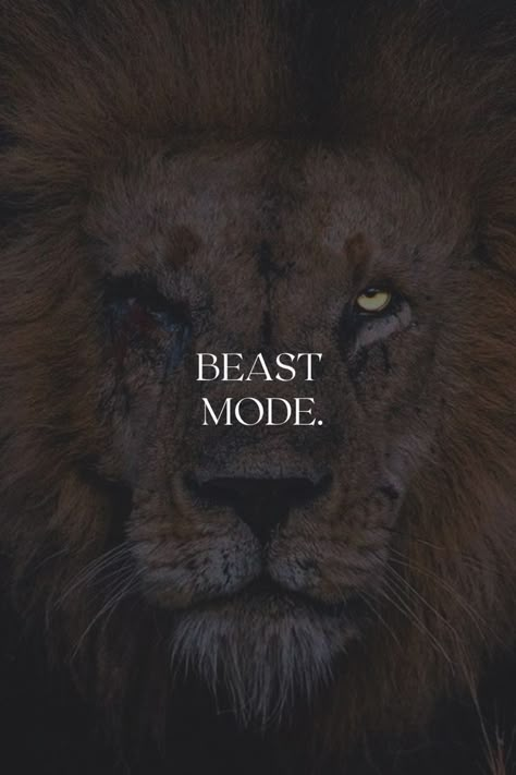 Sigma Mindset Wallpaper, Beast Mode On Wallpaper, Lion Motivation Wallpaper, Morning Motivation Wallpaper, Beast Mode Wallpapers, Motivational Wallpaper Men, Dark Lion Wallpaper, Dark Motivational Wallpaper, Mentality Wallpaper