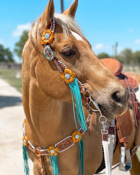 Browband, one ear and breastcollar in white whipstitch style. They are decorated with yellow gardenias and antique silver turquoise/AB conchos and buckles. Flowers are accented with turquoise fringe. Full Horse size Measurements Headstall measurements : bit to bit - 36" shortest setting : 44" longest settingBrowband measures 15" acrossBreastcollar measurements - From Center Ring to D Ring -16"Breastcollar including toggles : shortest settings - 26" : Longest settings -29" Lifetime guarantee on a Western Horse Tack Turquoise, Barrel Racing Tack Rodeo, Yellow And Turquoise, Cute Horse Pictures, Barrel Racing Horses, Rodeo Horses, Western Horse Tack, Looks Country, Horse Gear