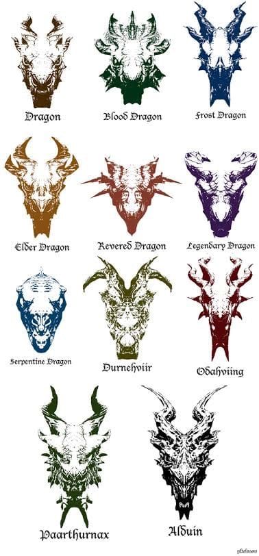 Dragon Skyrim, Elder Scrolls Tattoo, Skyrim Tattoo, Dragon Types, Skyrim Wallpaper, Skyrim Funny, Skyrim Dragon, Elder Scrolls Games, Skyrim Art