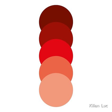 Red Colour Palette Shades, Red Shades Colour Palettes, Shades Of Red Color, Color Schemes Design, Color Pallete, Red Colour Palette, Brown Color Palette, Color Circle, Water Party