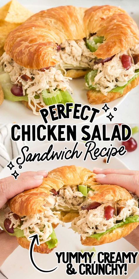 Savory Chicken Salad, Classic Chicken Salad Sandwich, Best Chicken Salad, Best Chicken Salad Recipe, Homemade Chicken Salads, Salad Sandwich Recipe, Chicken Salad Sandwich Recipe, On A Bun, Chicken Salad Recipe Easy